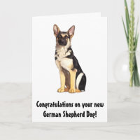 Parabéns no seu novo German shepherd