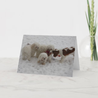 Cartão Parabéns no trabalho novo