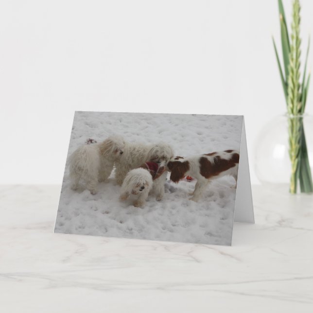 Cartão Parabéns no trabalho novo (Frente)