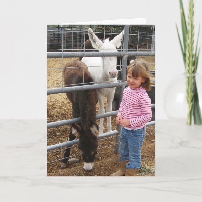 Cartão Parabéns Ocidentais de Formando DVM para Mulher Bo (Frente)