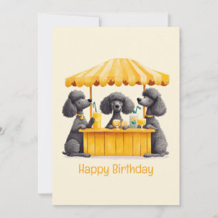 Cartão Parabéns Padrão Poodle Cães Limonada
