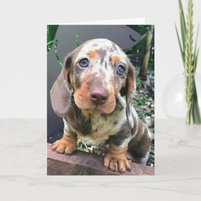 CARTÃO *PARABÉNS PELO NOVO EMPREGO/ESTAREI SENTINDO SUA F (Frente)