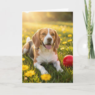 Cartão Parabéns pelo seu novo Beagle