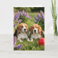 Parabéns pelos seus novos Beagles | Felicitações