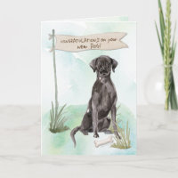 Parabéns pretos no novo cachorro