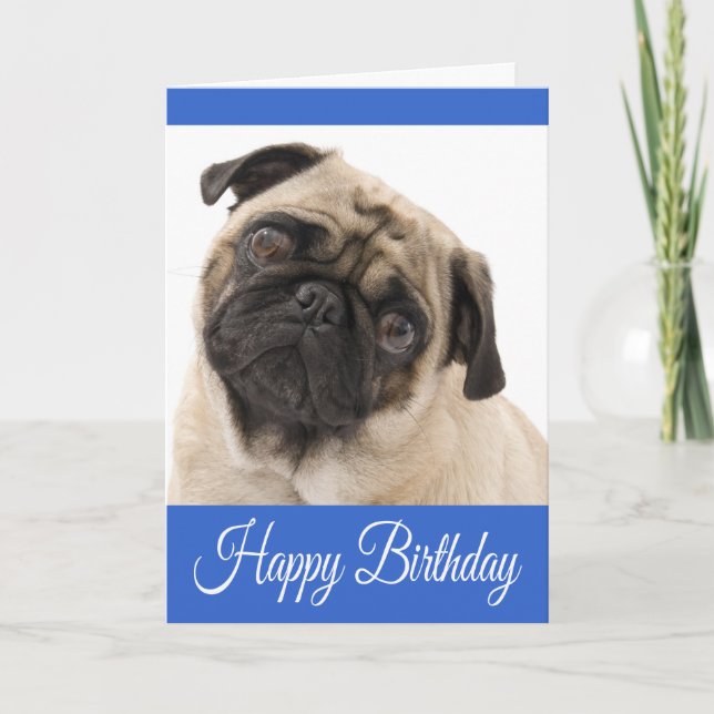 Cartão Parabéns Pug Puppy Dog Blue Greeting Card (Frente)