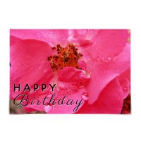 "Parabéns" Raindrop Pink Rose Card