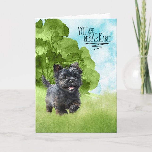 Cartão Parabéns reBARKable Affenpinscher Dog (Frente)