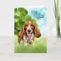 Parabéns reBARKable Basset Hound Dog