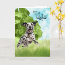 Parabéns reBARKable Cão Dálmata