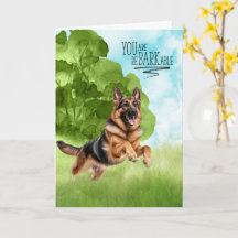 Parabéns reBARKable Cão Pastor Alemão