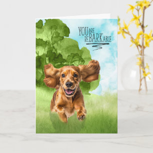 Cartão Parabéns reBARKable Cocker Spaniel Cachorro