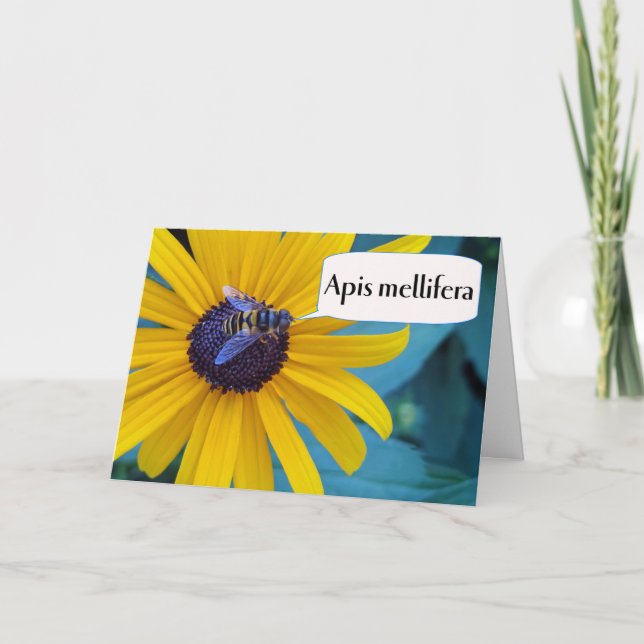 Cartão Parabéns sobre a Bebida Ortográfica vencedora (Frente)