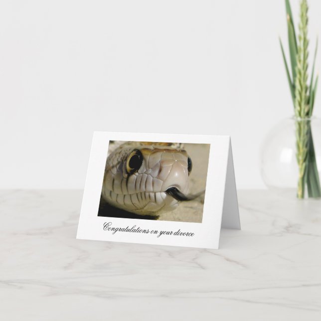 Cartão Parabéns sobre o divórcio... (Frente)