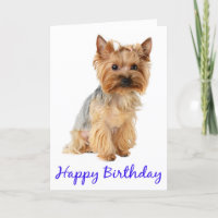 Parabéns Yorkshire Terrier Puppy Dog Card