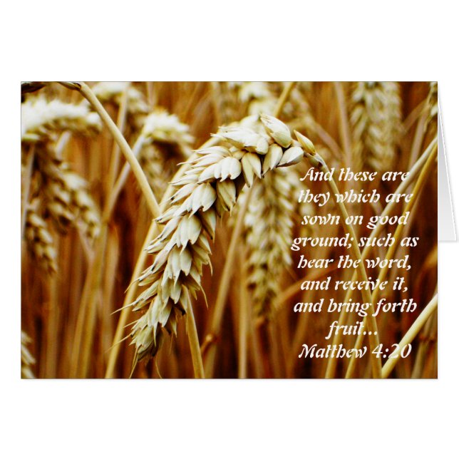 Cartão Parable of the Sower Vazio Card (Parable da placa  (Frente Horizontal)