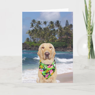 Cartão Paraíso Amarelo Havaiano Personalizável