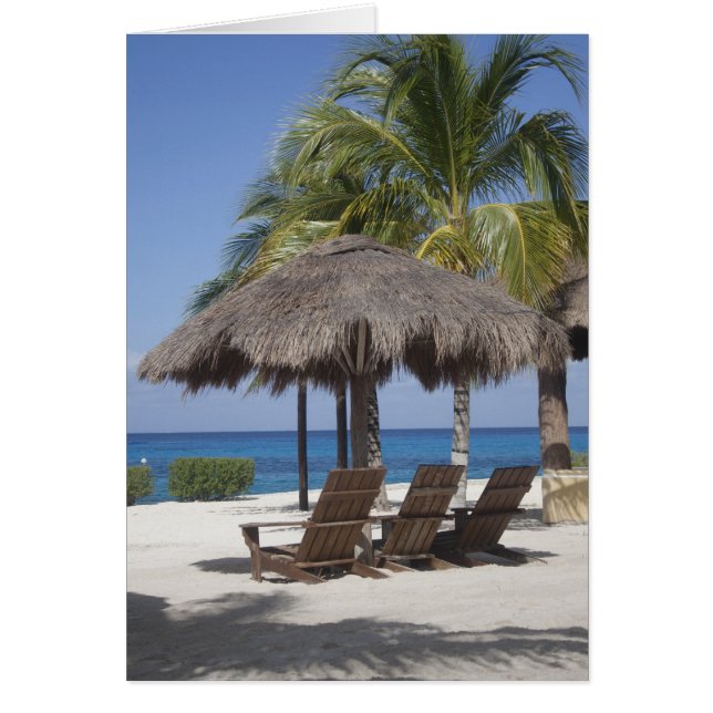 Cartão Paraíso de Praia Mexicano (Frente)