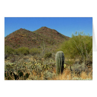 Cartão Paraíso do Deserto