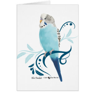 Cartão Parakeet azul