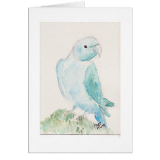 Cartão Parakeet indiano do ringneck