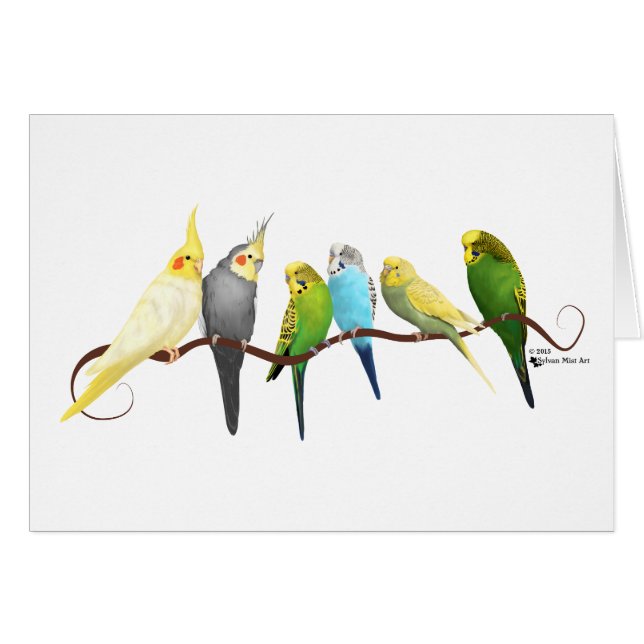 Cartão Parakeets & Cockatiels! (Frente Horizontal)