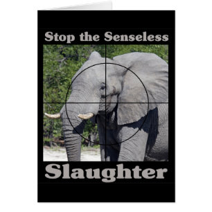 Cartão Parar o Elefante do Abate