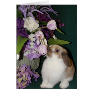 Cartão Pare e cheire as flores 4