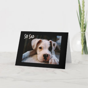 CARTÃO PARECE BOM SER "40"