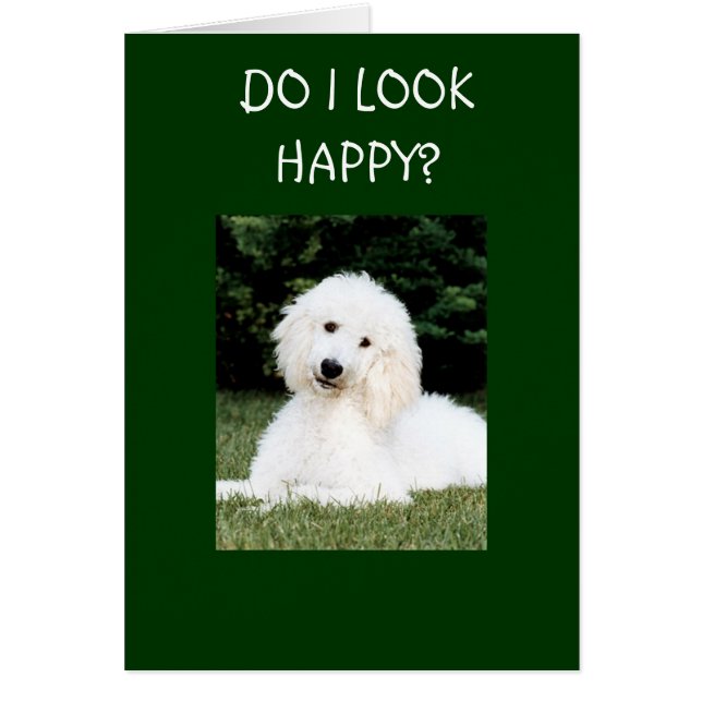 CARTÃO PAREÇO FELIZ? (Frente)