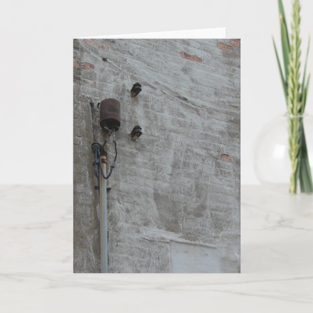 Cartão Parede (Frente)