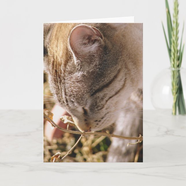 Cartão Parem e cheirarem as flores (Frente)