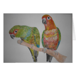 Cartão pares de Conure do オウムパロット que penduram para fora