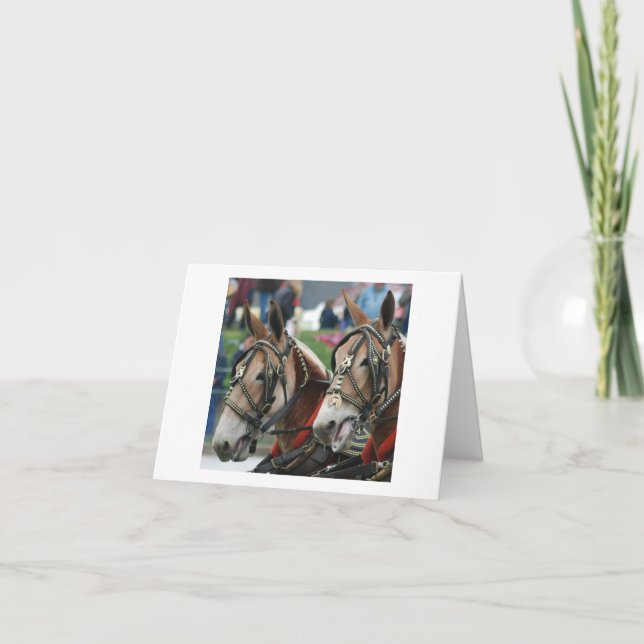 Cartão Pares de mulas no chicote de fios (Frente)