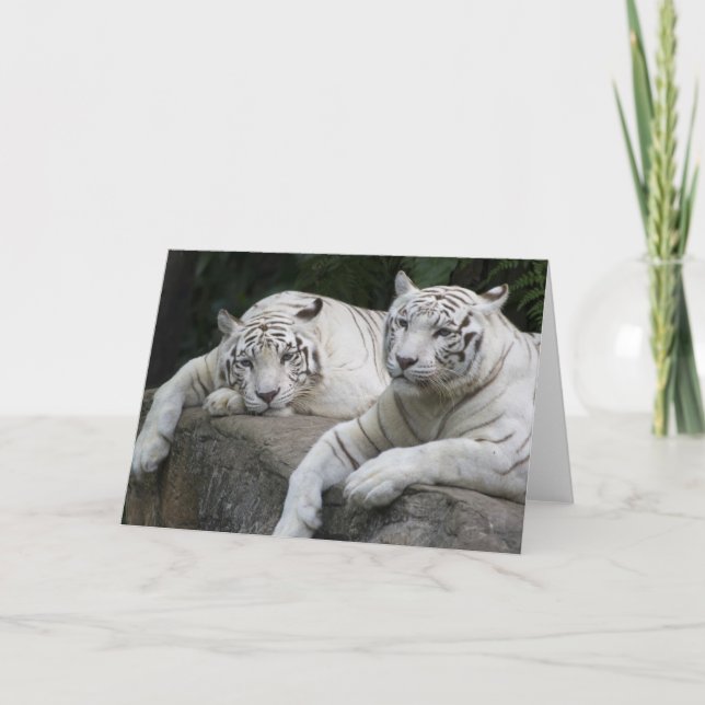 Cartão Pares do tigre (Frente)