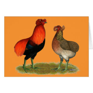 Cartão Pares do vermelho de Araucana