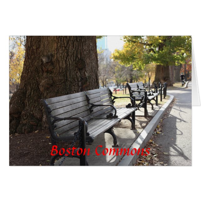 Cartão Park Bench, Boston Commons, Massachusetts (Frente Horizontal)