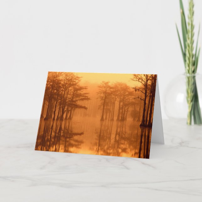 Cartão Parque Estadual de Cypress Trees George Smith (Frente)