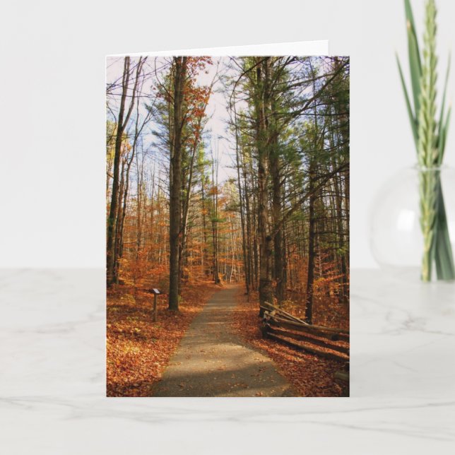 Cartão Parque estadual dos pinhos de Hartwick na queda (Frente)