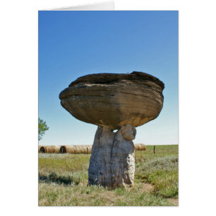 Cartão Parque Estadual Mushroom Rock, KS
