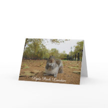 Parque Hyde Park, da cinza Squirrel.