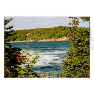 Cartão Parque Nacional Arcadia Através das Árvores