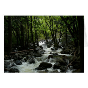 Cartão Parque Nacional de Bridalveil Creek em Yosemite