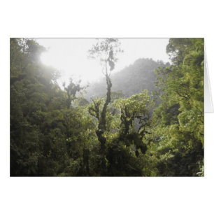 Cartão Parque nacional de Manu