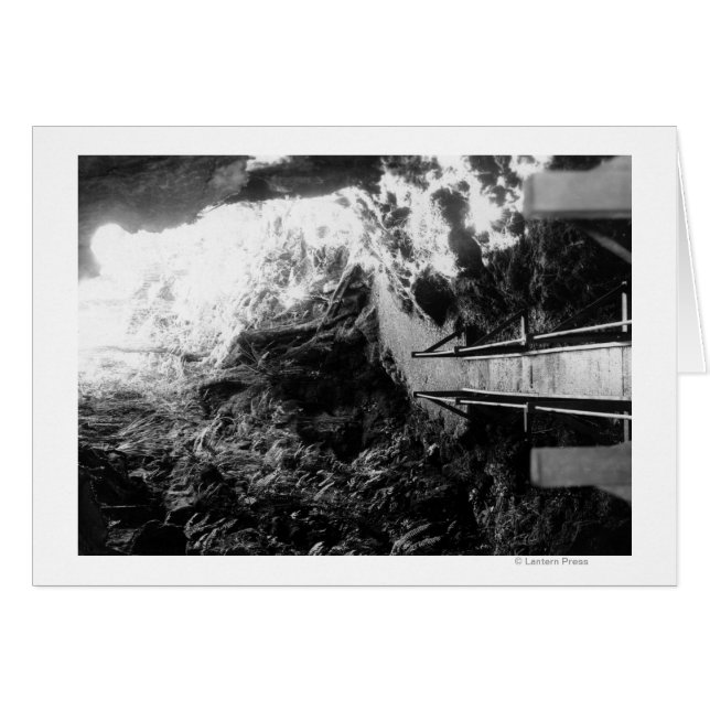 Cartão Parque Nacional do Havaí, Vista de um Tubo de Lava (Frente Horizontal)