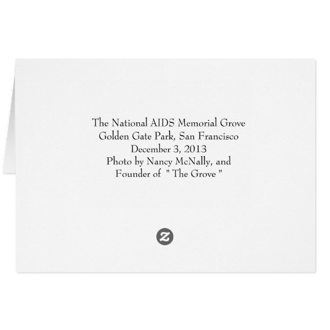 Cartão Parque Nacional do Portão do Ouro do Memorial da S (Verso horizontal)