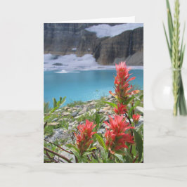 Cartão Parque Nacional Glacier