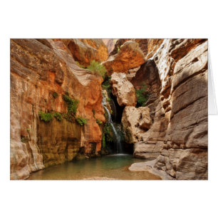 Cartão Parque Nacional Grand Canyon, Arizona