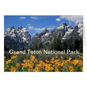 Cartão Parque Nacional Grand Teton