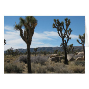 Cartão Parque Nacional Joshua Tree